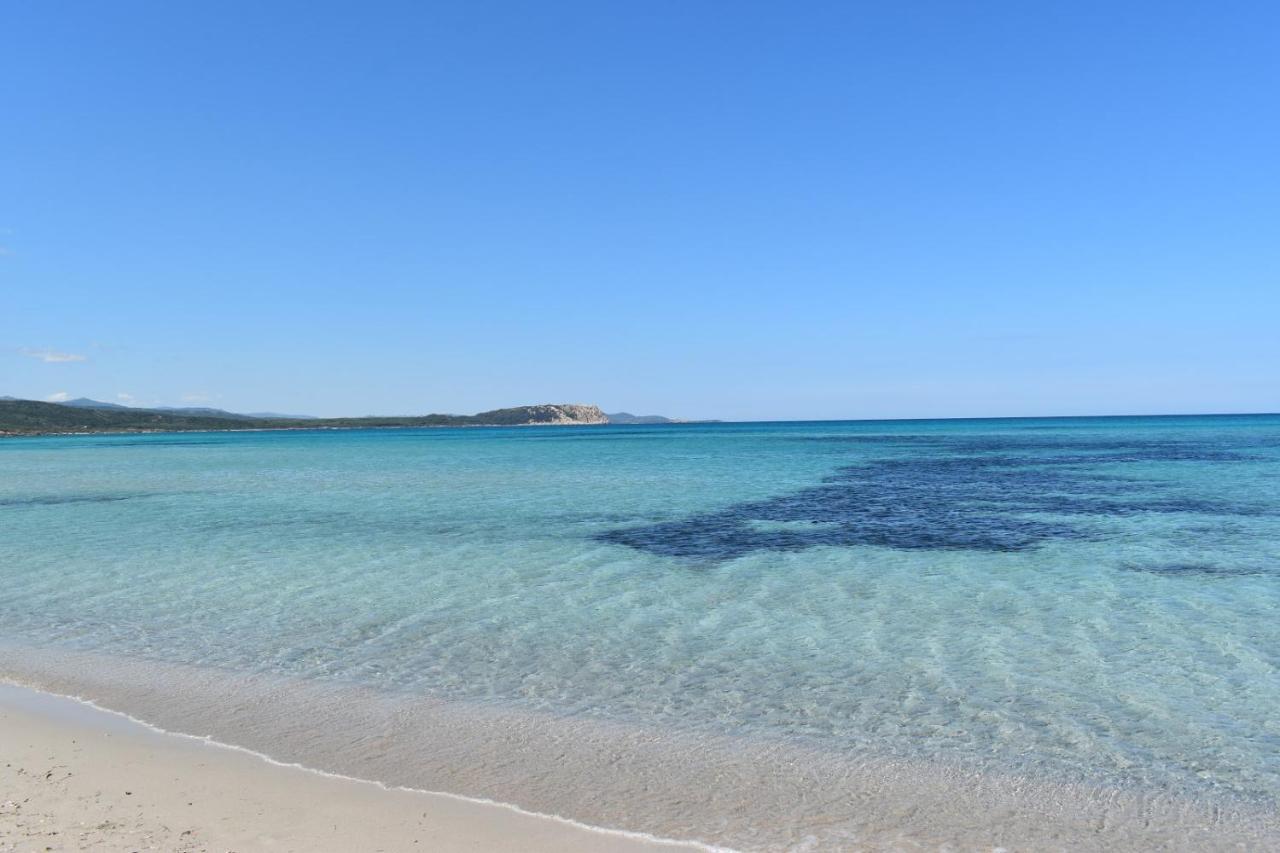 "Sea" La Vie - Santa Teresa Santa Teresa Gallura Exterior foto
